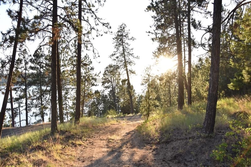 Campfire Safety at Harrison Bluffs