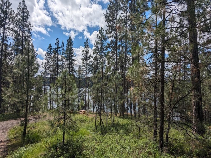 Site #1 — Lakeview Bluff