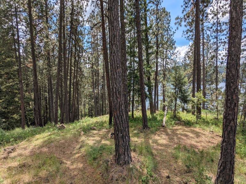 Site #2 — Pine Terrace