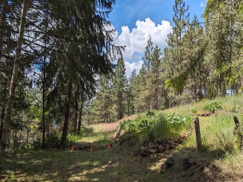 Site #4 — Wildflower Bluff