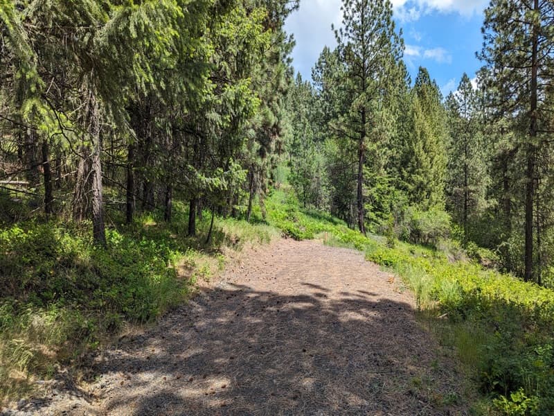 Site #5 — Hidden Hollow